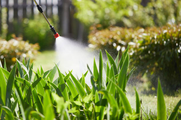 Tamper-Resistant Bait Stations for Rodents in Mitchell